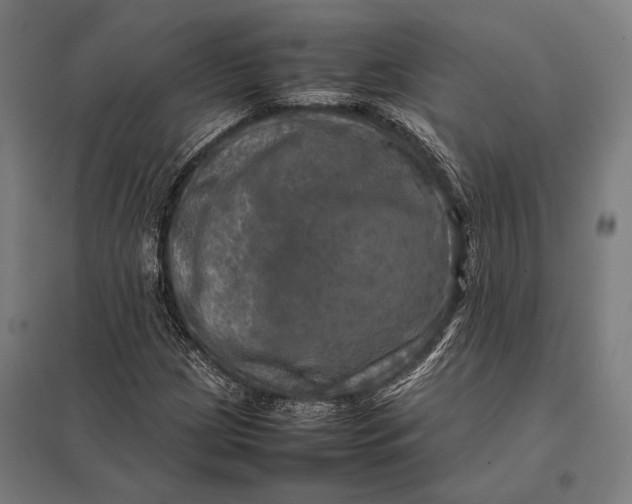 X0000097861209200803281304