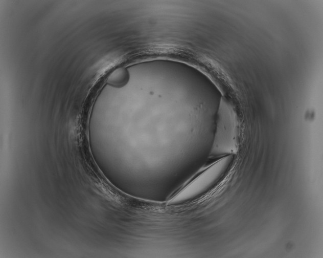 X0000097861210200803281304