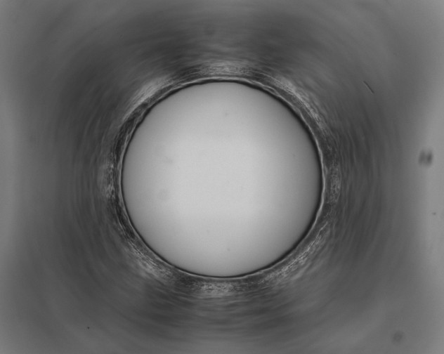 X0000097861211200803281304