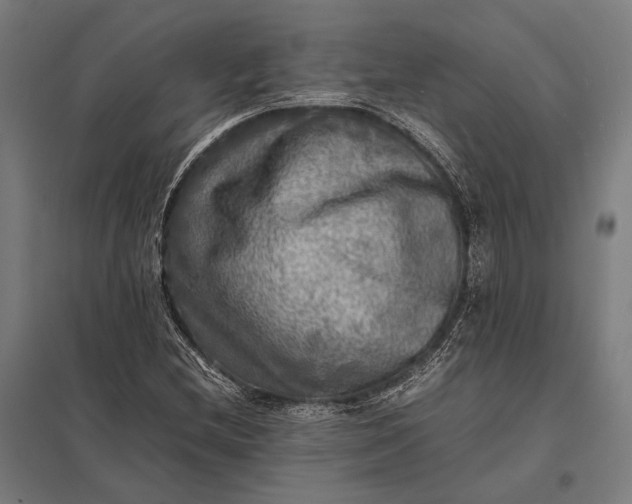 X0000097861212200803281304