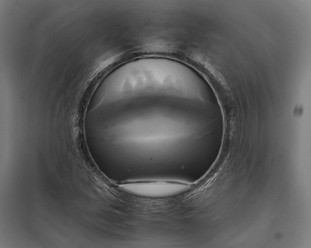 X0000097861213200803281304