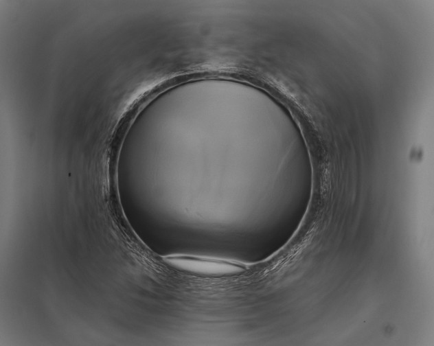 X0000097861214200803281304