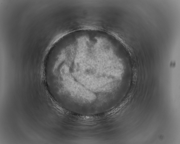 X0000097861215200803281304