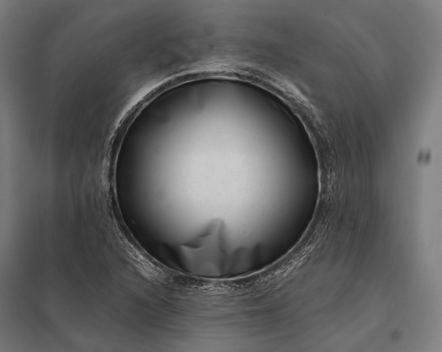 X0000097861216200803281304