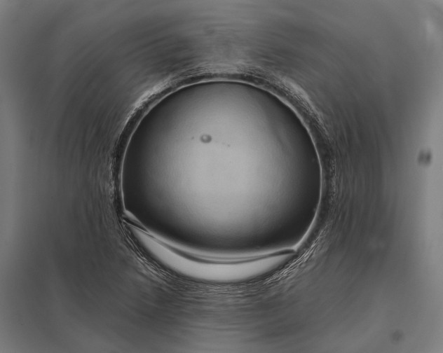 X0000097861218200803281304