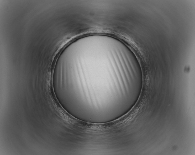 X0000097861220200803281304