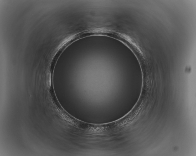 X0000097861221200803281304