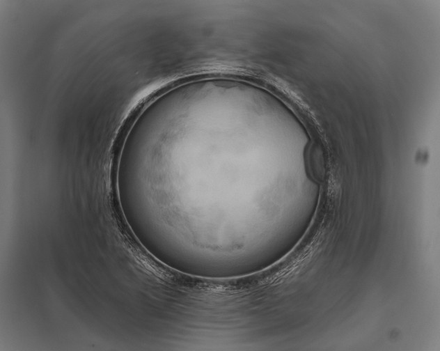 X0000097861222200803281304