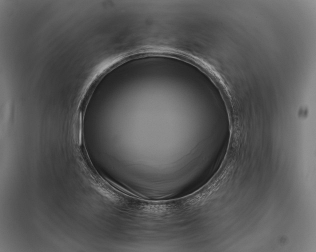 X0000097861223200803281304