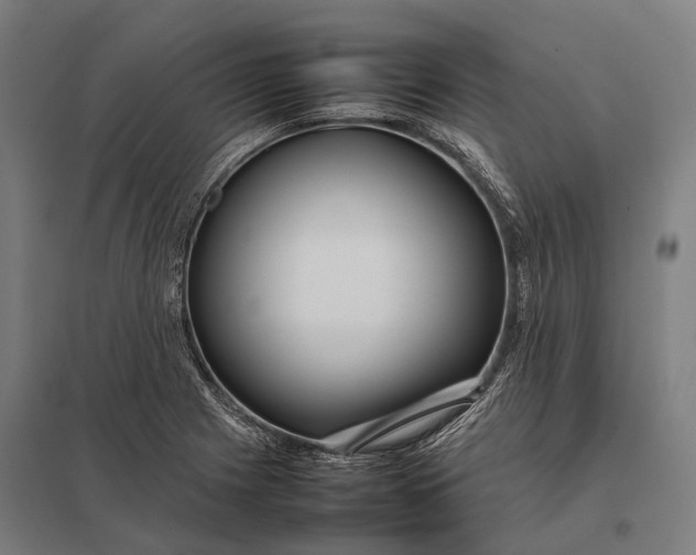 X0000097861225200803281304