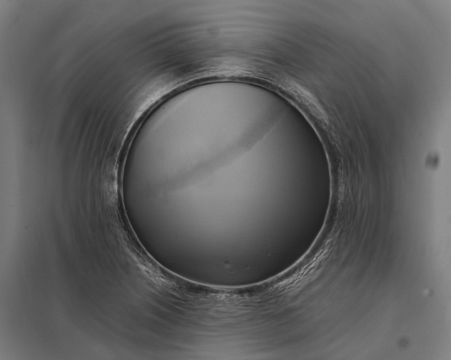 X0000097861226200803281304