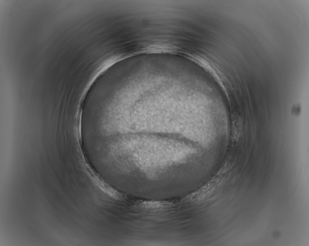 X0000097861227200803281304