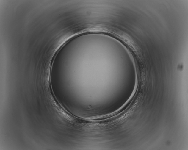 X0000097861228200803281304