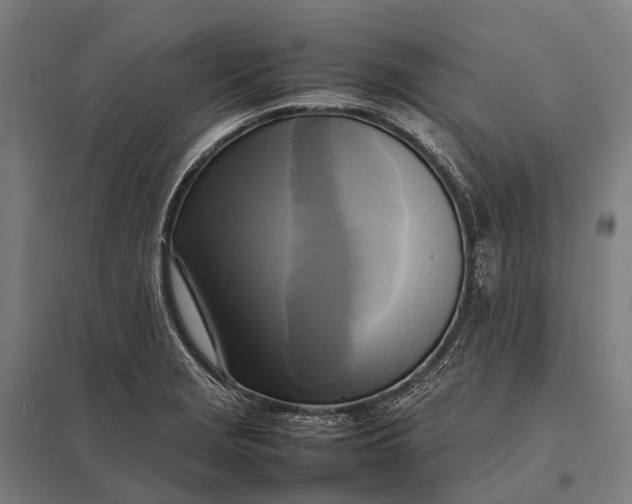 X0000097861229200803281304