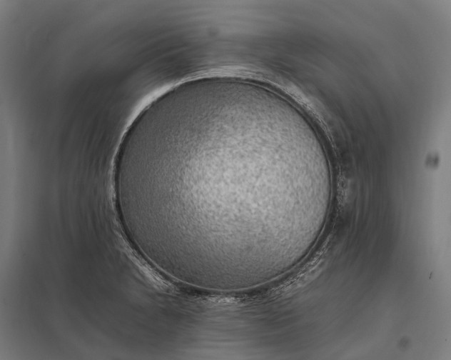 X0000097861230200803281304