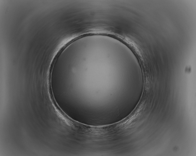 X0000097861231200803281305