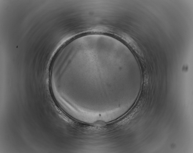 X0000097861232200803281305