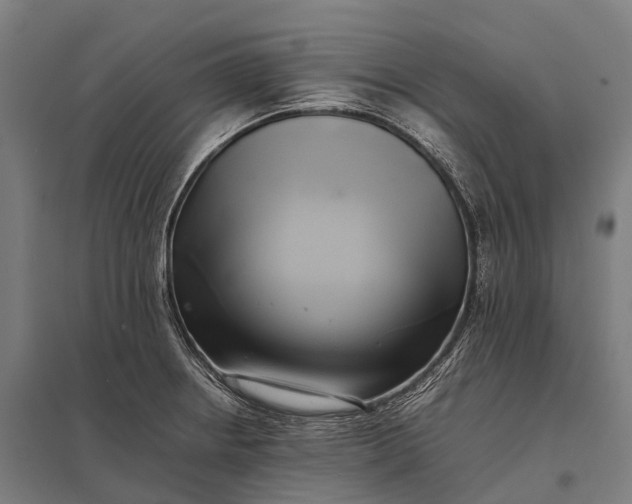 X0000097861234200803281305