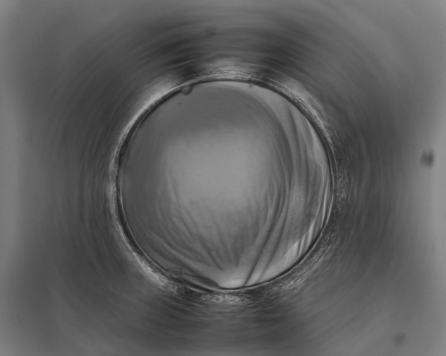 X0000097861235200803281305