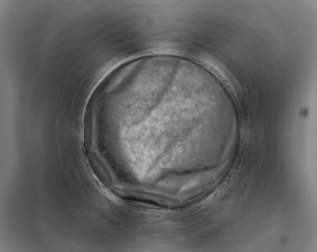 X0000097861236200803281305