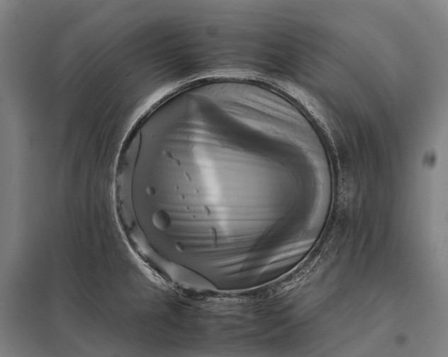 X0000097861237200803281305