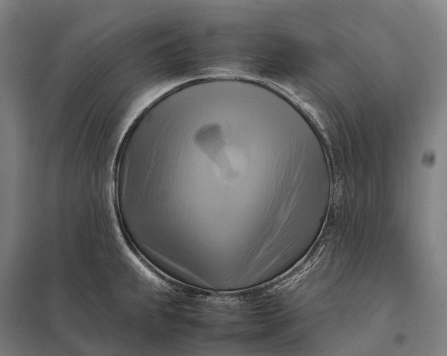 X0000097861239200803281305