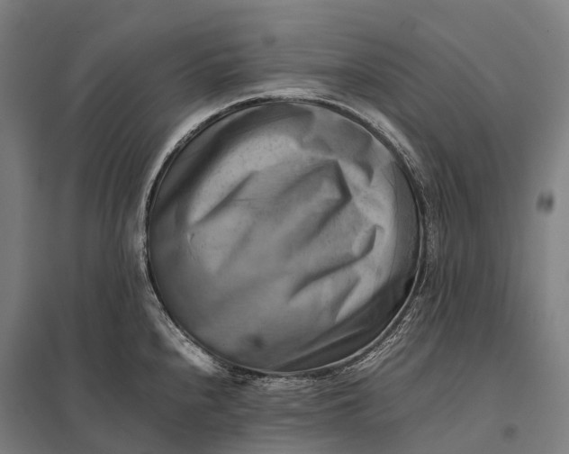 X0000097861240200803281305