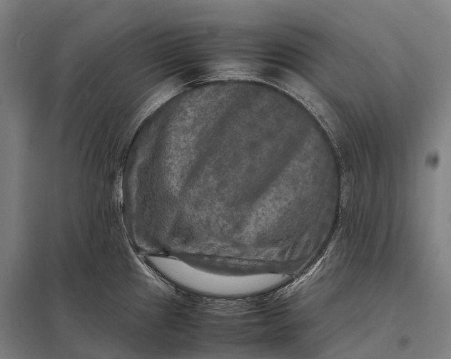 X0000097861241200803281305