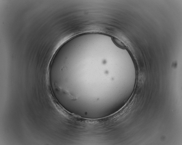 X0000097861242200803281305