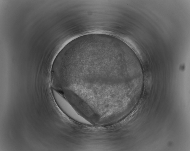 X0000097861244200803281305