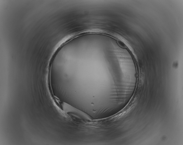 X0000097861245200803281305