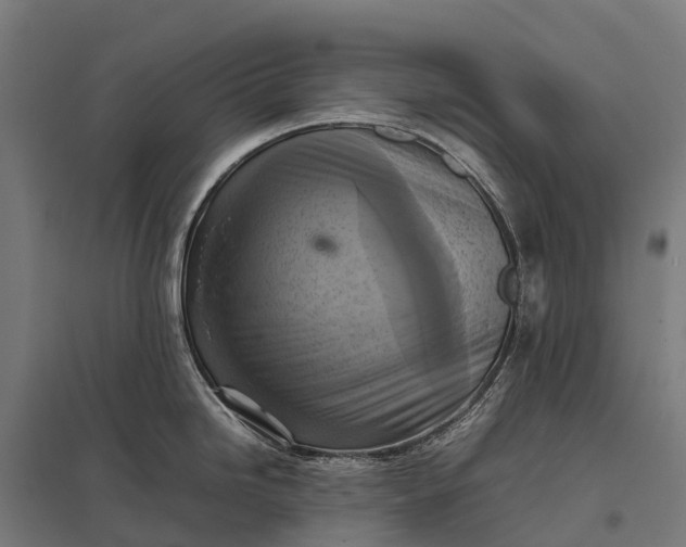 X0000097861246200803281305