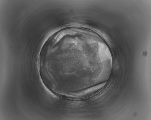 X0000097861247200803281305