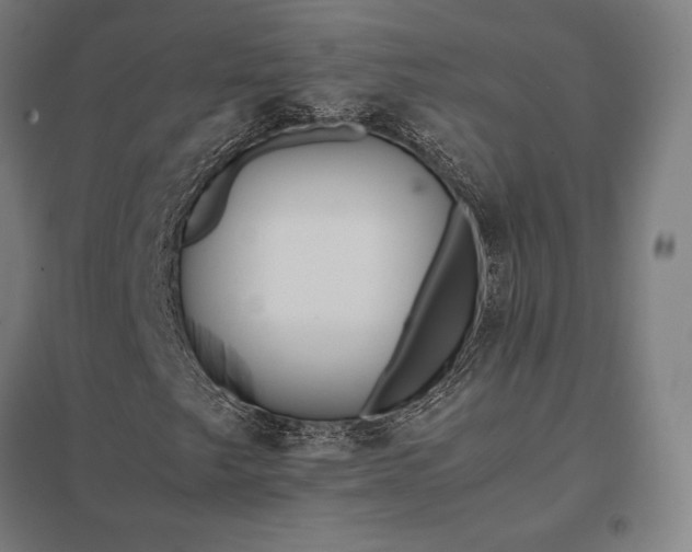 X0000097861249200803281304