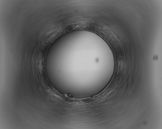 X0000097861250200803281304