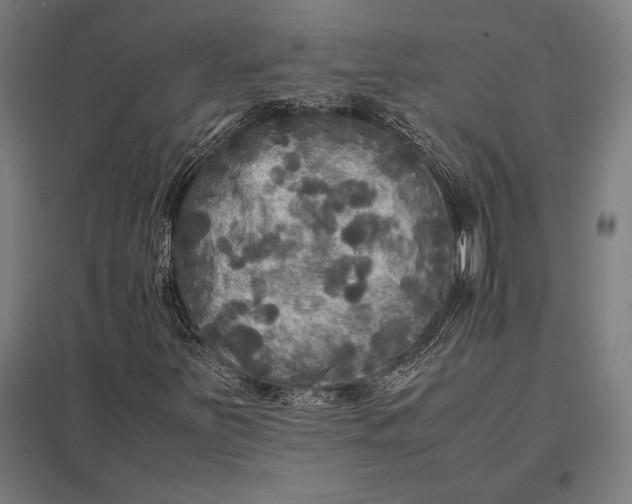 X0000097861251200803281304