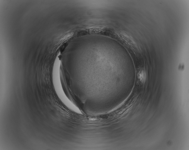 X0000097861252200803281304