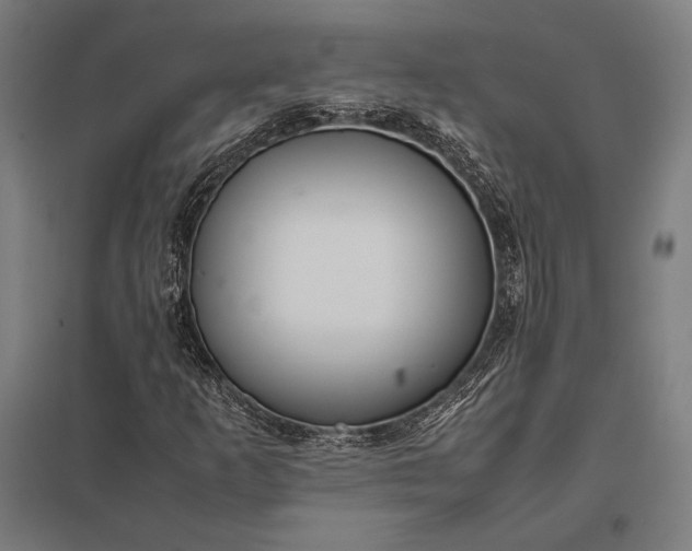 X0000097861253200803281304