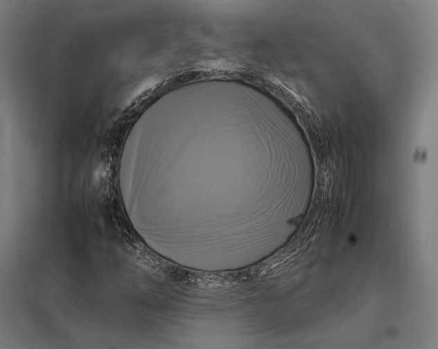 X0000097861254200803281304