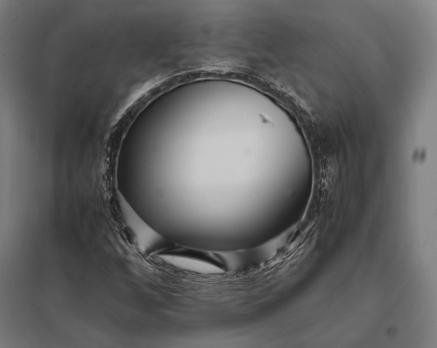 X0000097861256200803281304