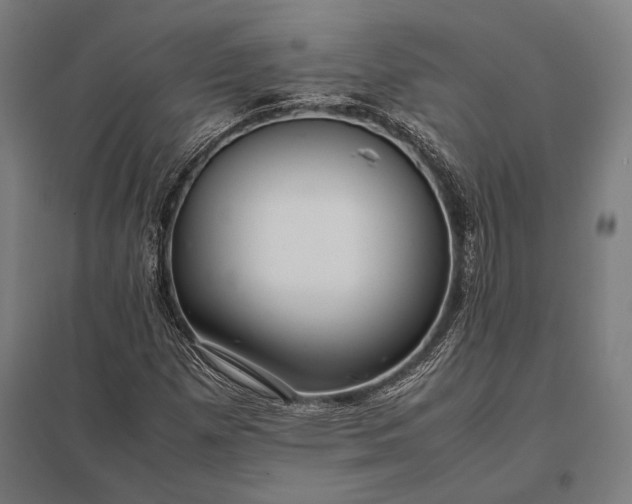 X0000097861257200803281304