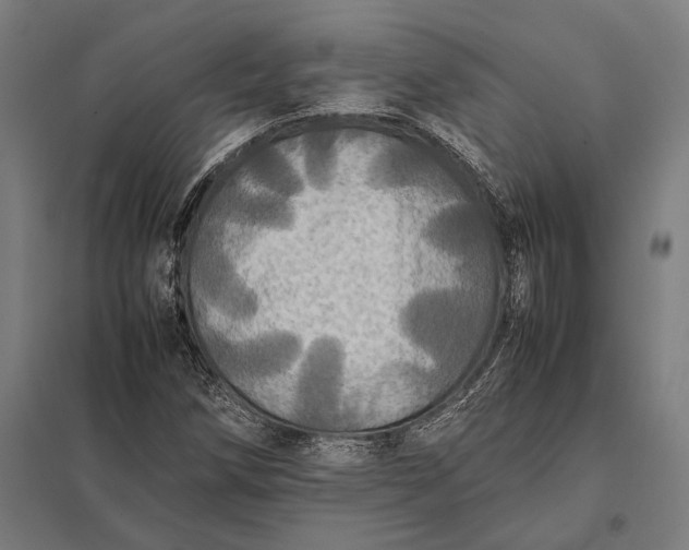 X0000097861258200803281304