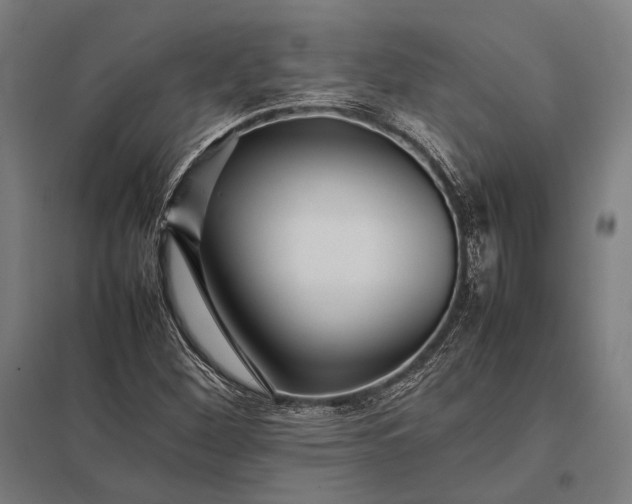 X0000097861260200803281304