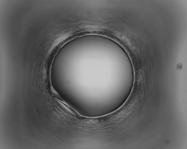 X0000097861261200803281304