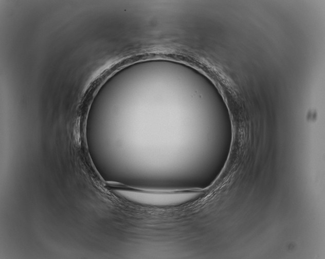 X0000097861262200803281304