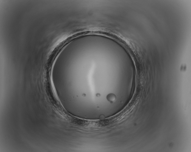 X0000097861263200803281304