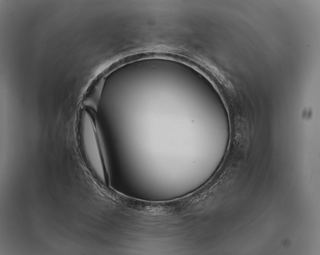 X0000097861264200803281304