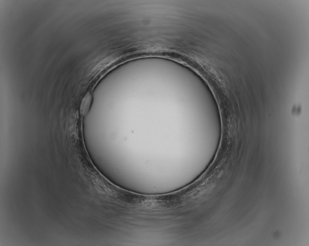 X0000097861265200803281304