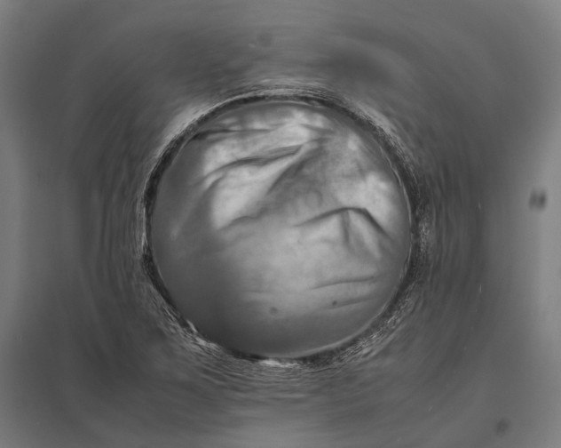 X0000097861267200803281304