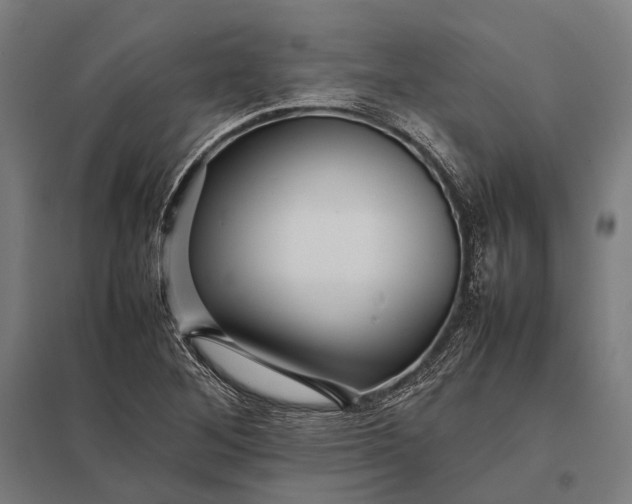 X0000097861268200803281304